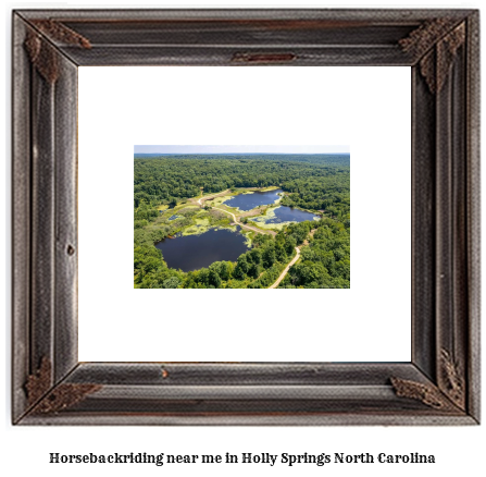 horseback riding near me in Holly Springs, North Carolina